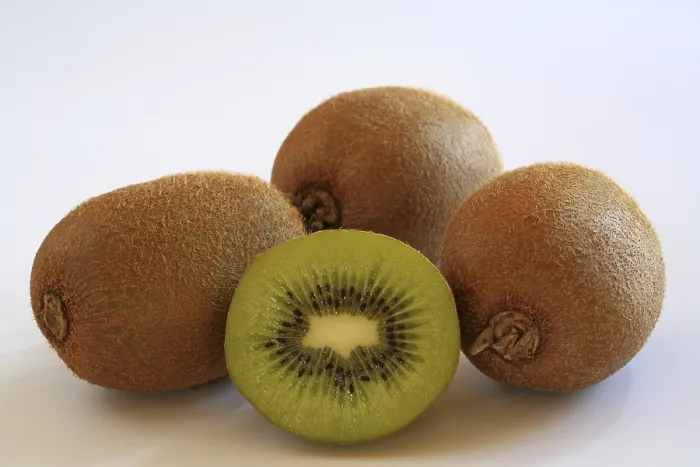 Gerahmter Druck : Kiwifruit Gerahmter Druck : Kiwifruit