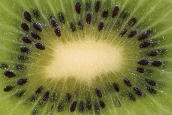 Gerahmter Druck : Ein Detail von Kiwi. Gerahmter Druck : Ein Detail von Kiwi.
