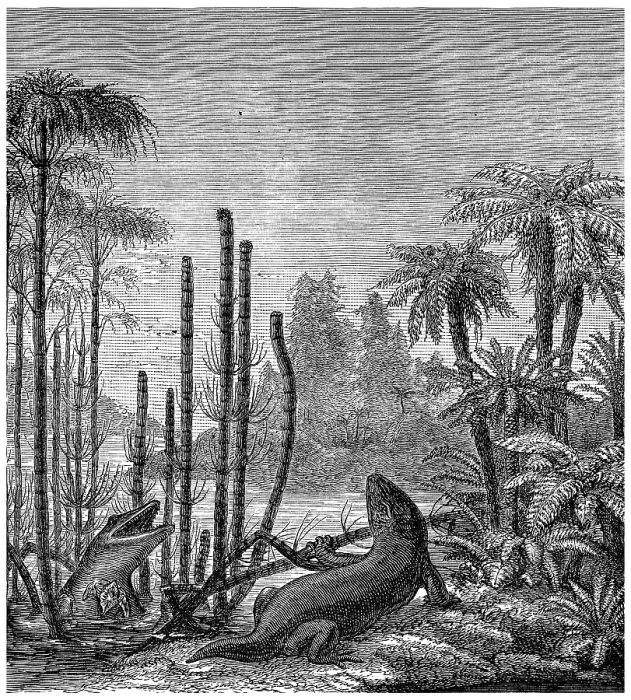 Gerahmter Druck : Fossile Reptilien aus der Vorzeit: Mastodonsaurus Gerahmter Druck : Fossile Reptilien aus der Vorzeit: Mastodonsaurus