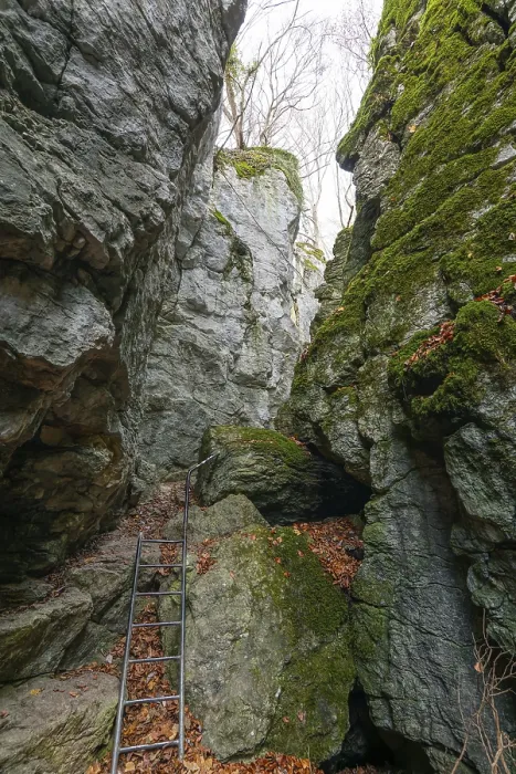 Gerahmter Druck : Die Leiter am Felsen. Gerahmter Druck : Die Leiter am Felsen.