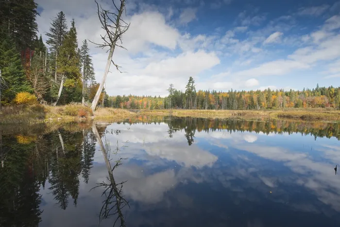 Gerahmter Druck : See in Algonquin Park, Kanada. Gerahmter Druck : See in Algonquin Park, Kanada.