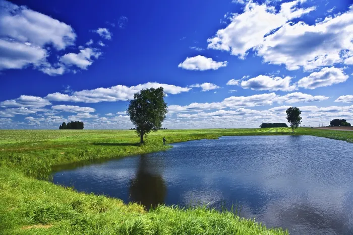 Gerahmter Druck : Seejö auf einem Feld. Gerahmter Druck : Seejö auf einem Feld.