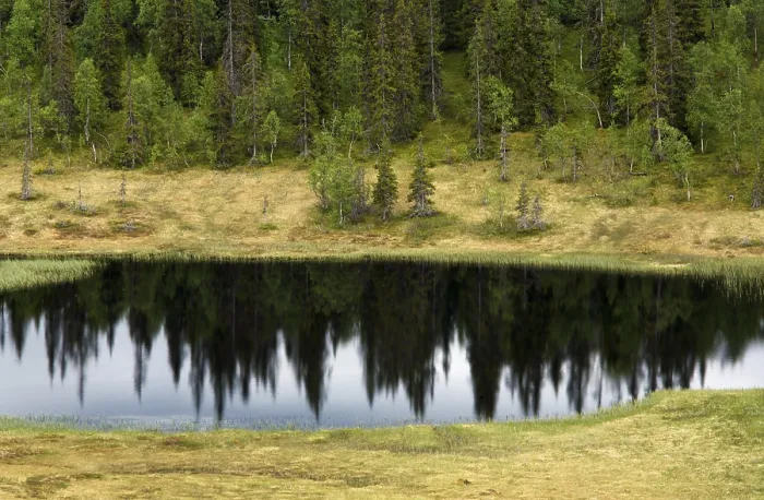 Gerahmter Druck : Ein See in Norwegen. Gerahmter Druck : Ein See in Norwegen.