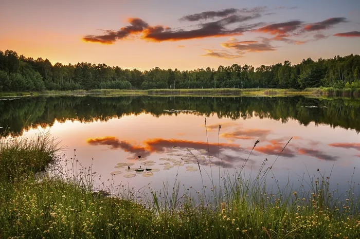 Gerahmter Druck : Seejensee bei Abendlicht.