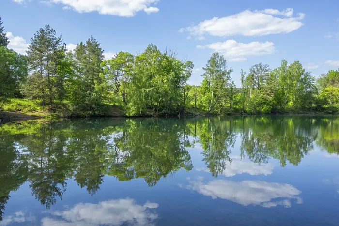 Gerahmter Druck : Seejensee mit Spiegelung der Landschaft. Gerahmter Druck : Seejensee mit Spiegelung der Landschaft.