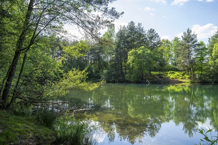 Gerahmter Druck : Seejensee mit Spiegelung der Landschaft Gerahmter Druck : Seejensee mit Spiegelung der Landschaft