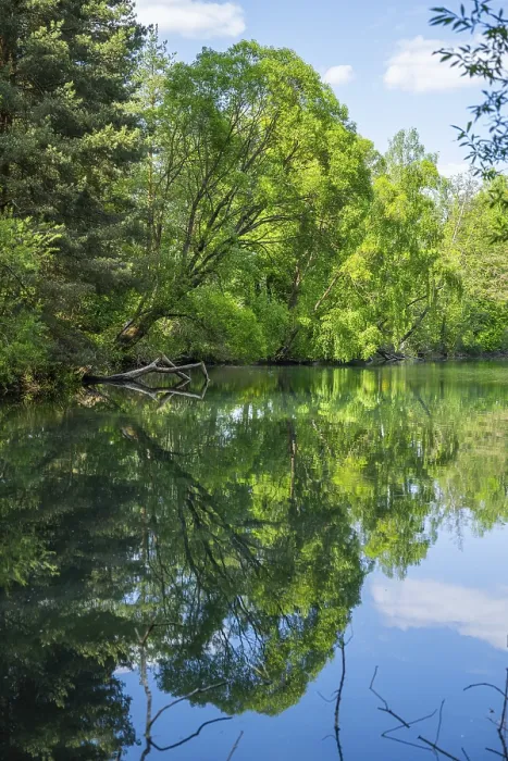 Gerahmter Druck : Seejensee mit Spiegelung der Landschaft Gerahmter Druck : Seejensee mit Spiegelung der Landschaft