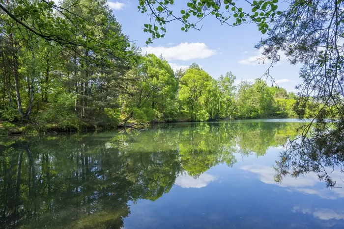 Gerahmter Druck : Seejensee mit Spiegelung der Landschaft Gerahmter Druck : Seejensee mit Spiegelung der Landschaft