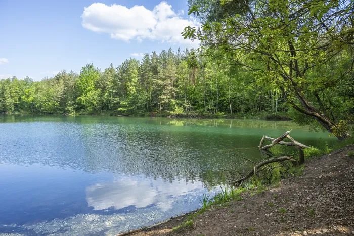Gerahmter Druck : Seejensee mit Spiegelung der Landschaft Gerahmter Druck : Seejensee mit Spiegelung der Landschaft