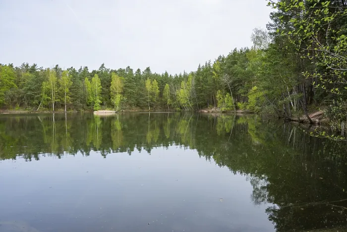 Gerahmter Druck : Seejensee mit Spiegelung der Landschaft. Gerahmter Druck : Seejensee mit Spiegelung der Landschaft.