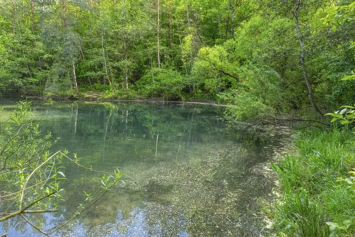Gerahmter Druck : Seejensee mit Spiegelbild der Landschaft. Gerahmter Druck : Seejensee mit Spiegelbild der Landschaft.