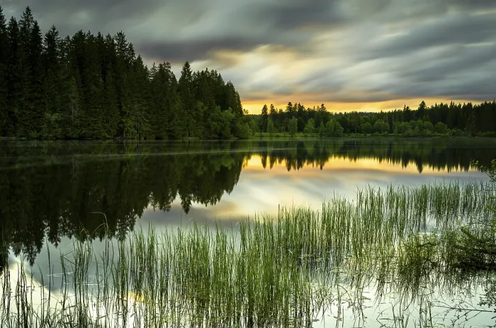 Gerahmter Druck : Windgfällweiher am Sonnenuntergang, Langbelichtung, Oberes Schwarzwald, Lenzkirch, Baden-Württemberg Gerahmter Druck : Windgfällweiher am Sonnenuntergang, Langbelichtung, Oberes Schwarzwald, Lenzkirch, Baden-Württemberg