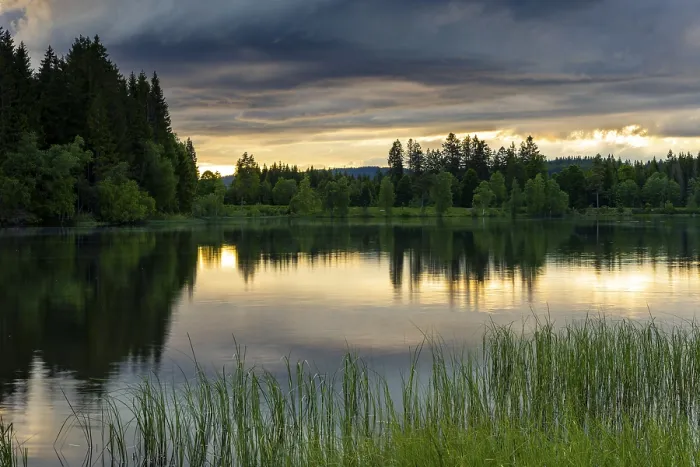 Gerahmter Druck : Der See Windgfallweiher bei Sonnenuntergang. Gerahmter Druck : Der See Windgfallweiher bei Sonnenuntergang.