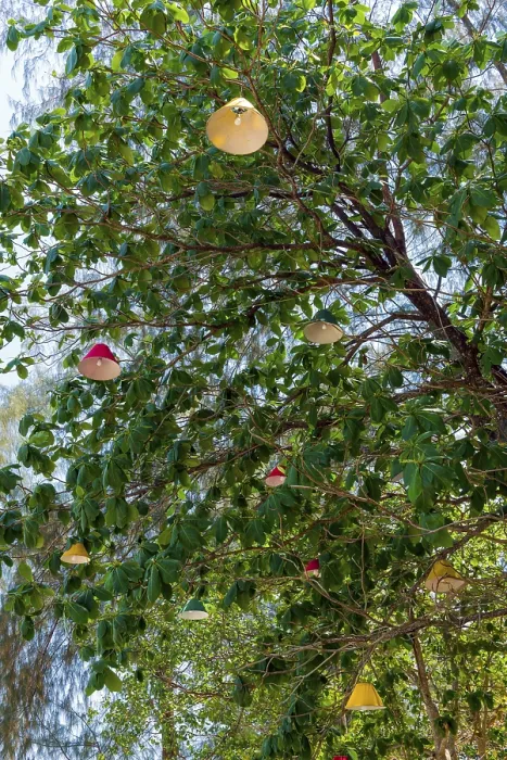 Gerahmter Druck : Lampen in einem Baum, beleuchtung, Licht. Gerahmter Druck : Lampen in einem Baum, beleuchtung, Licht.