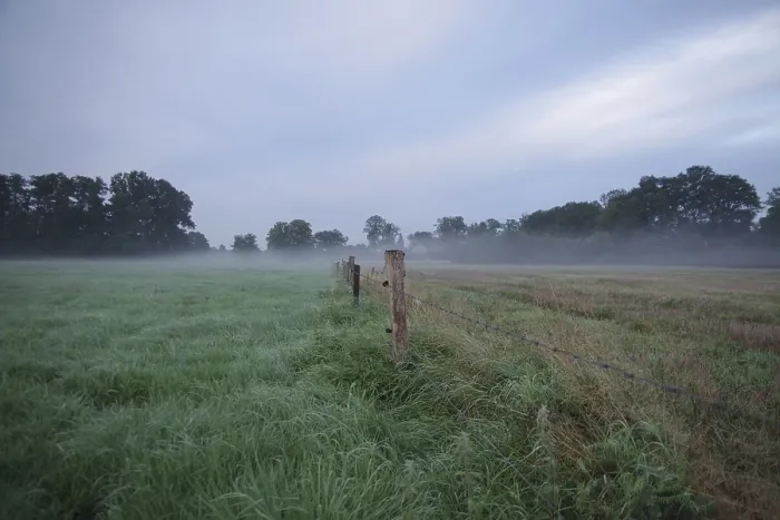 Gerahmter Druck : Landschaft, Dornendraht, Zaunpfahl Gerahmter Druck : Landschaft, Dornendraht, Zaunpfahl