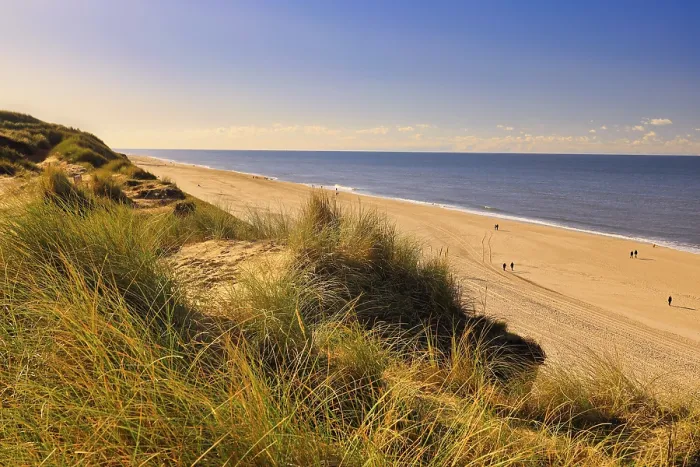 Gerahmter Druck : Landschaft am Strand von Sylt. Gerahmter Druck : Landschaft am Strand von Sylt.