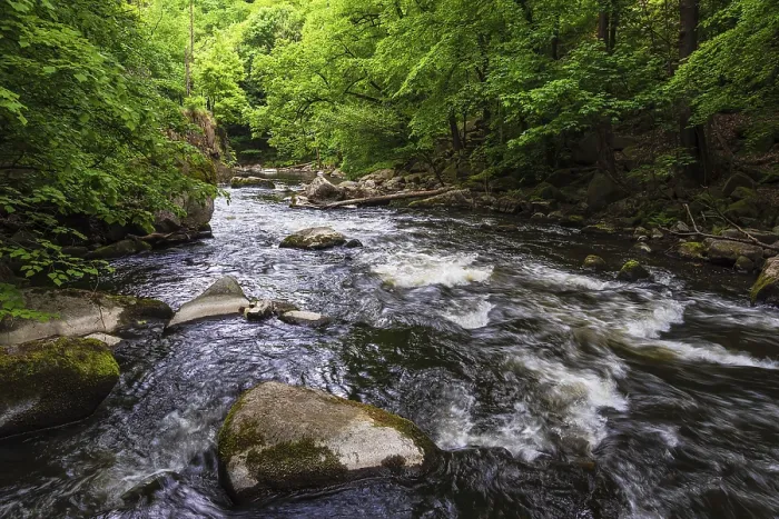 Gerahmter Druck : Landschaft im Bode-Tal in den Harzgebirgen. Gerahmter Druck : Landschaft im Bode-Tal in den Harzgebirgen.