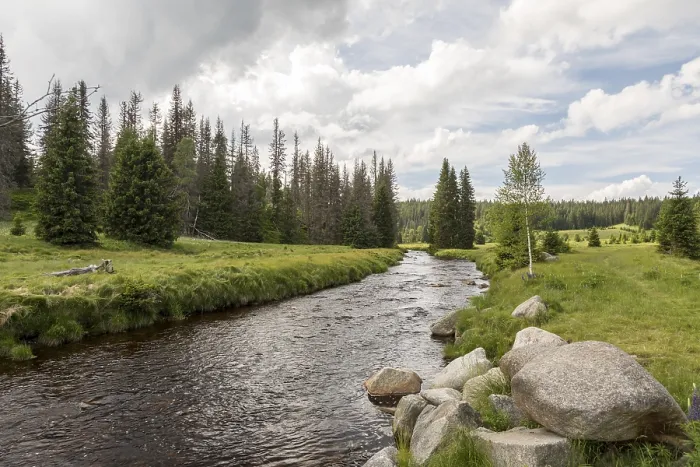 Gerahmter Druck : Landschaft im Böhmischen Wald Gerahmter Druck : Landschaft im Böhmischen Wald