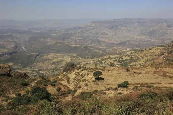 Gerahmter Druck : Landschaft in den Choke Mountains Gerahmter Druck : Landschaft in den Choke Mountains