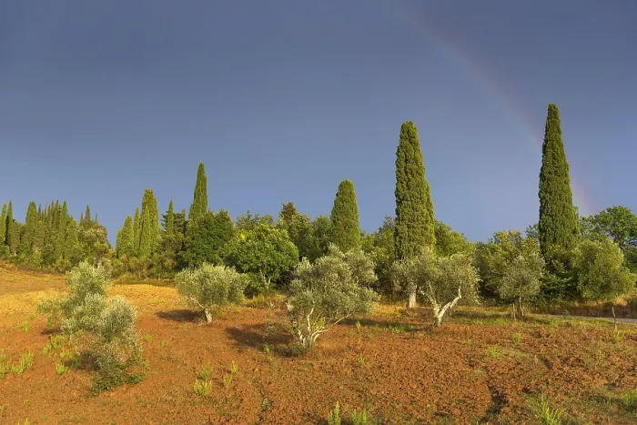 Gerahmter Druck : Landschaft im Abendlicht Gerahmter Druck : Landschaft im Abendlicht