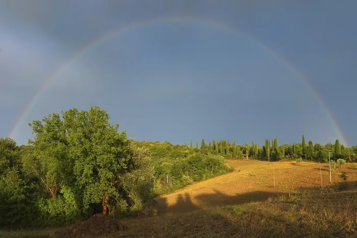 Gerahmter Druck : Landschaft im Abendlicht.