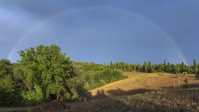 Gerahmter Druck : Landschaft im Abendlicht. Gerahmter Druck : Landschaft im Abendlicht.