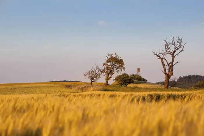 Gerahmter Druck : Landschaft in Abendstimmung Gerahmter Druck : Landschaft in Abendstimmung