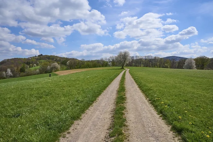 Gerahmter Druck : Landschaft, Feldweg, Getreidefeld Gerahmter Druck : Landschaft, Feldweg, Getreidefeld