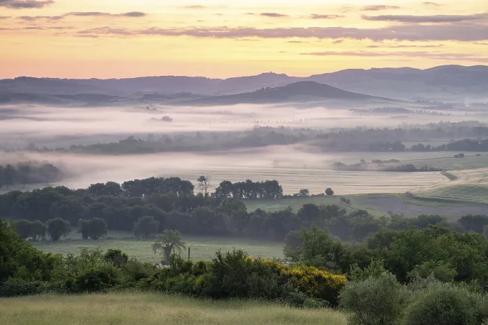 Gerahmter Druck : Landschaft mit Feldern und Wald in Nebel. Gerahmter Druck : Landschaft mit Feldern und Wald in Nebel.