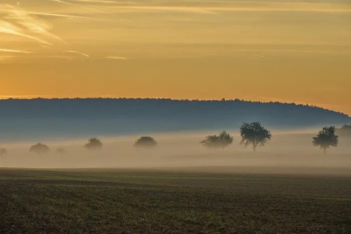 Gerahmter Druck : Landschaft, Felder, Obstbäume. Gerahmter Druck : Landschaft, Felder, Obstbäume.