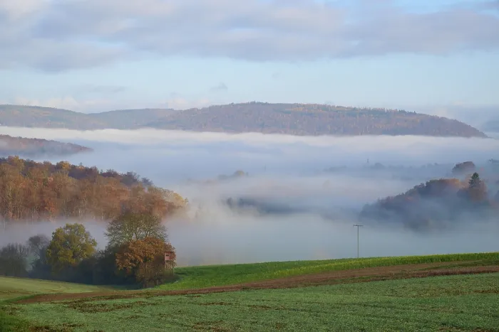 Gerahmter Druck : Landschaft, Wald, Feld, Wolken Gerahmter Druck : Landschaft, Wald, Feld, Wolken