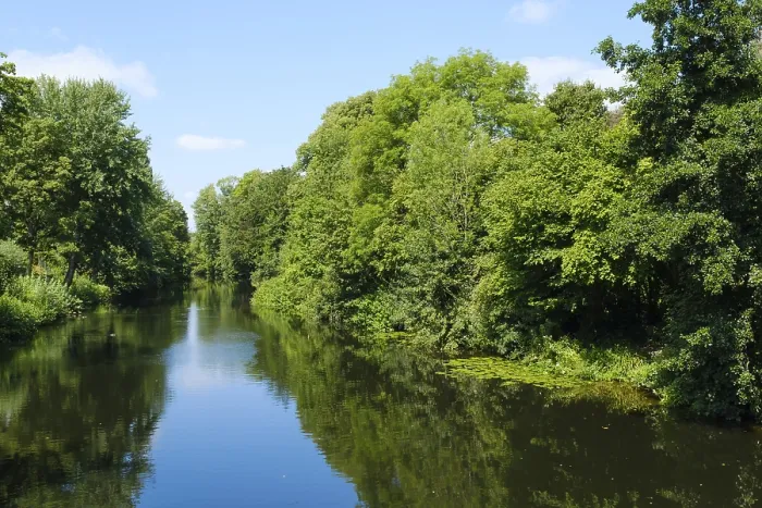 Gerahmter Druck : Landschaft mit Wald am Fluss Ems Gerahmter Druck : Landschaft mit Wald am Fluss Ems