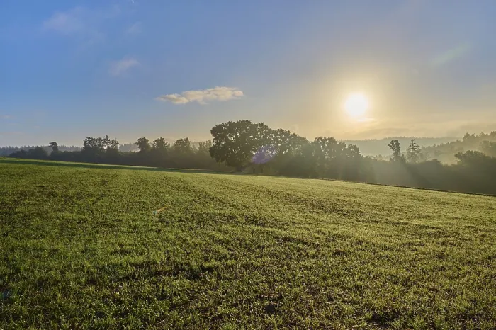 Gerahmter Druck : Landschaft, Getreidefeld, Wald. Gerahmter Druck : Landschaft, Getreidefeld, Wald.