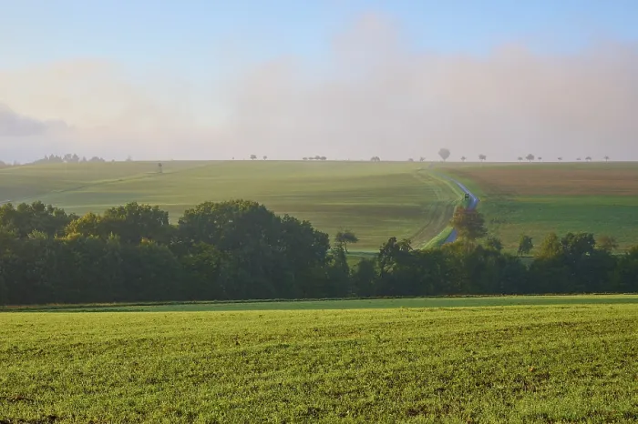 Gerahmter Druck : Landschaft, Getreidefeld, Baum, Himmel. Gerahmter Druck : Landschaft, Getreidefeld, Baum, Himmel.
