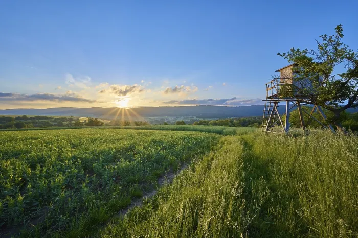 Gerahmter Druck : Landschaft, Jagdpredigtstuhl, Pfad Gerahmter Druck : Landschaft, Jagdpredigtstuhl, Pfad