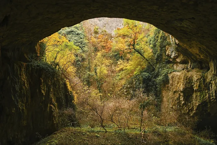 Gerahmter Druck : Das Landschaft innerhalb der Höhle. Ein Ökosystem mit einem Fluss und Bäumen in einem Felsen.