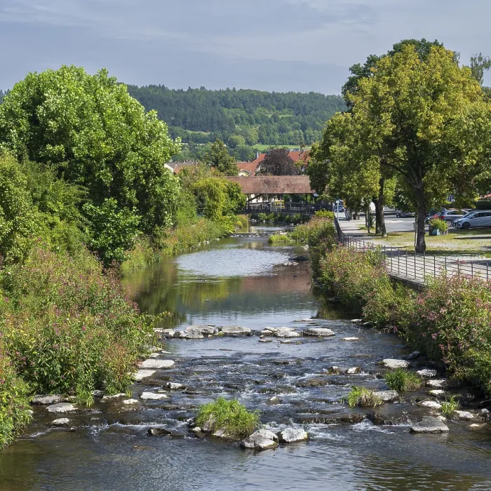 Gerahmter Druck : Landschaft am Kronach. Gerahmter Druck : Landschaft am Kronach.