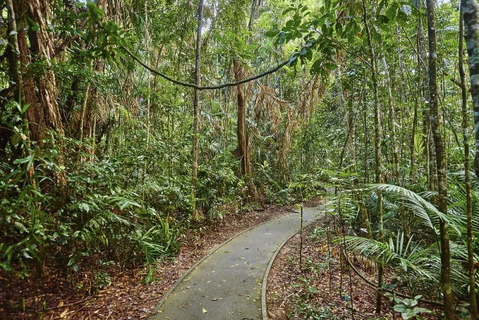 Gerahmter Druck : Landschaft ein kleiner Wanderweg, der durch einen Regenwald im Frühjahr geht. Gerahmter Druck : Landschaft ein kleiner Wanderweg, der durch einen Regenwald im Frühjahr geht.