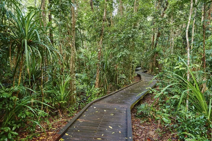 Gerahmter Druck : Landschaft ein kleiner Wanderweg, der durch einen Regenwald im Frühjahr geht. Gerahmter Druck : Landschaft ein kleiner Wanderweg, der durch einen Regenwald im Frühjahr geht.