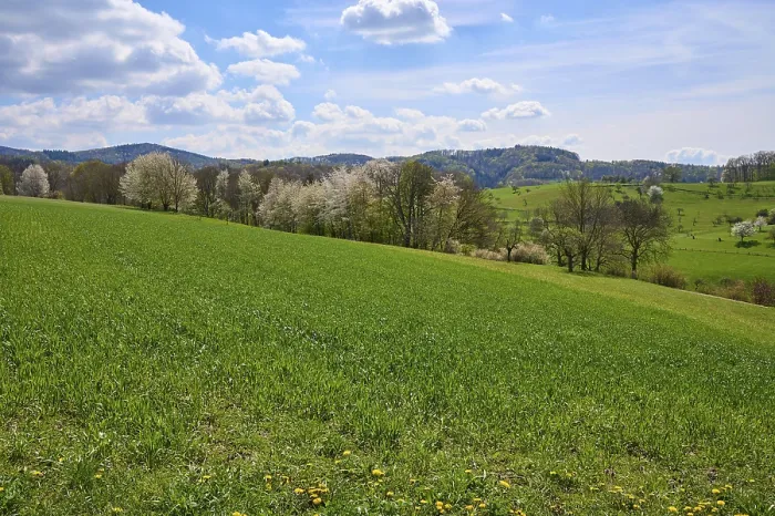 Gerahmter Druck : Landschaft, Hügelland, Frühling Gerahmter Druck : Landschaft, Hügelland, Frühling