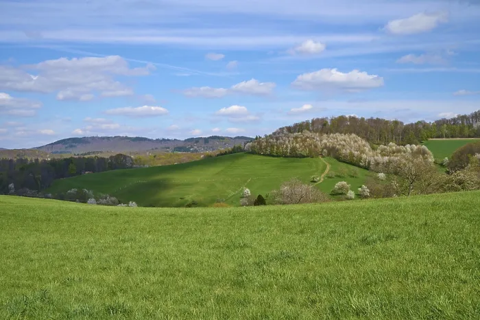 Gerahmter Druck : Landschaft, Wiese, Kirschenbaum Gerahmter Druck : Landschaft, Wiese, Kirschenbaum