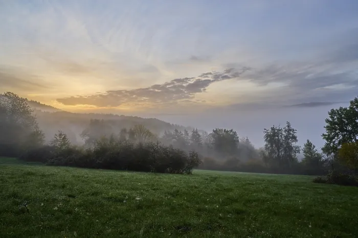 Gerahmter Druck : Landschaft, Wiese, Wald, Wolken. Gerahmter Druck : Landschaft, Wiese, Wald, Wolken.