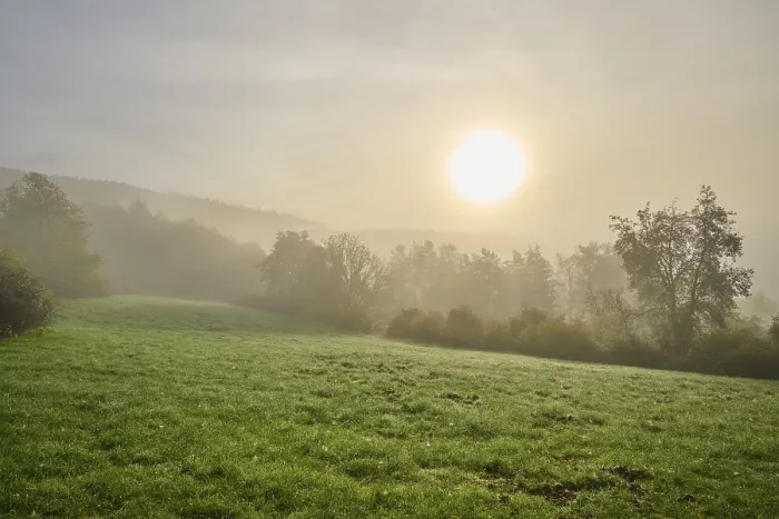 Gerahmter Druck : Landschaft, Wiese, Wald, Wolken. Gerahmter Druck : Landschaft, Wiese, Wald, Wolken.