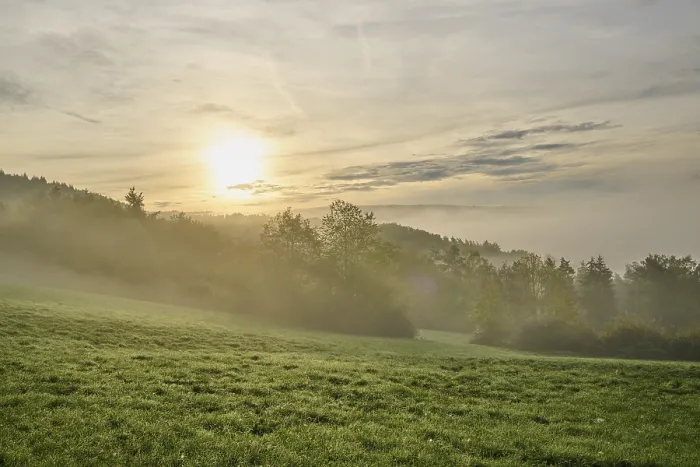 Gerahmter Druck : Landschaft, Wiese, Wald, Wolken. Gerahmter Druck : Landschaft, Wiese, Wald, Wolken.