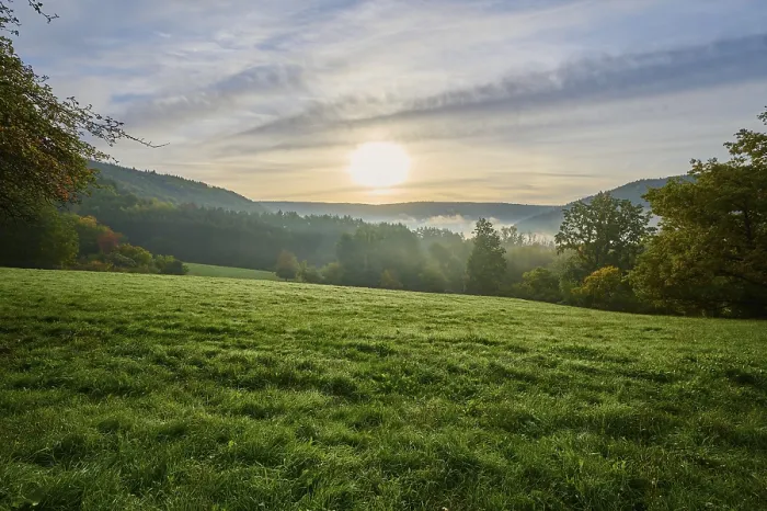 Gerahmter Druck : Landschaft, Wiese, Wald, Wolken Gerahmter Druck : Landschaft, Wiese, Wald, Wolken