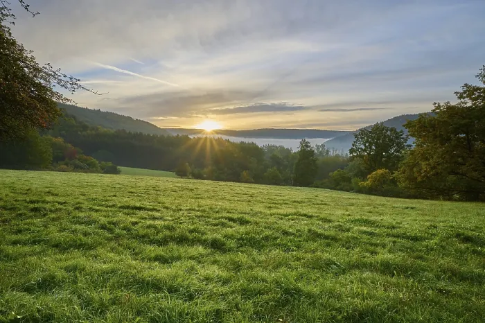 Gerahmter Druck : Landschaft, Wiese, Wald, Wolken. Gerahmter Druck : Landschaft, Wiese, Wald, Wolken.