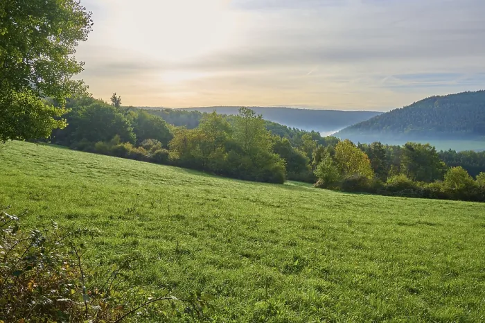 Gerahmter Druck : Landschaft, Wiese, Wald, Wolken. Gerahmter Druck : Landschaft, Wiese, Wald, Wolken.