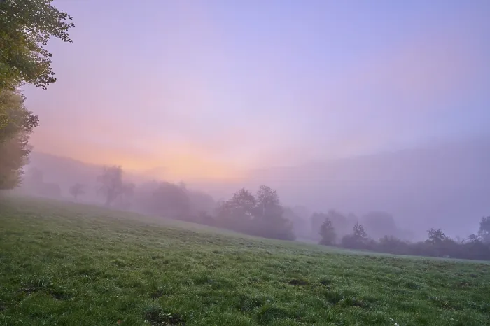 Gerahmter Druck : Landschaft, Wiese, Wald, Wolken Gerahmter Druck : Landschaft, Wiese, Wald, Wolken