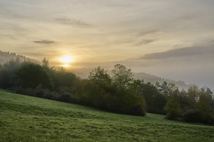Gerahmter Druck : Landschaft, Wiese, Wald, Wolken Gerahmter Druck : Landschaft, Wiese, Wald, Wolken