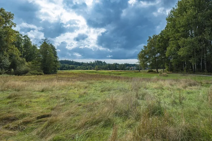 Gerahmter Druck : Landschaft mit Wiese und Bäumen. Gerahmter Druck : Landschaft mit Wiese und Bäumen.
